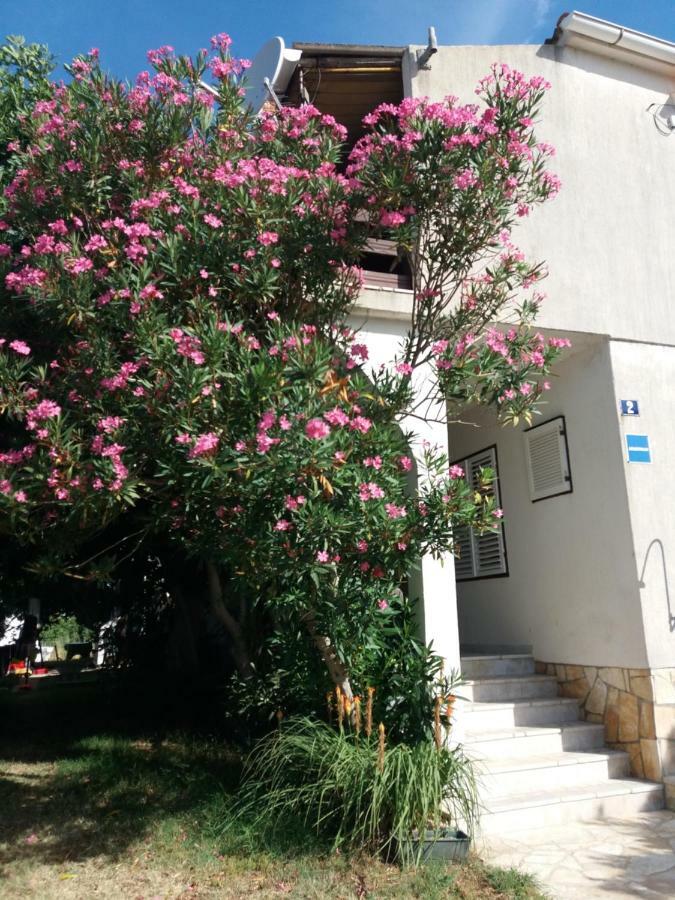 Apartman Nona Povljana Esterno foto